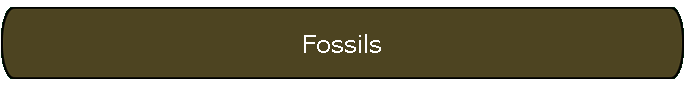 Fossils